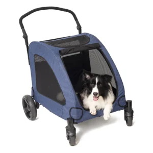 import placeholder for 1599