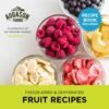 augason farms freeze dried and dehydrated fruit variety pail, 86 servings, emergency food augason farms freeze dried and dehydrated fruit variety pail, 86 servings, emergency food