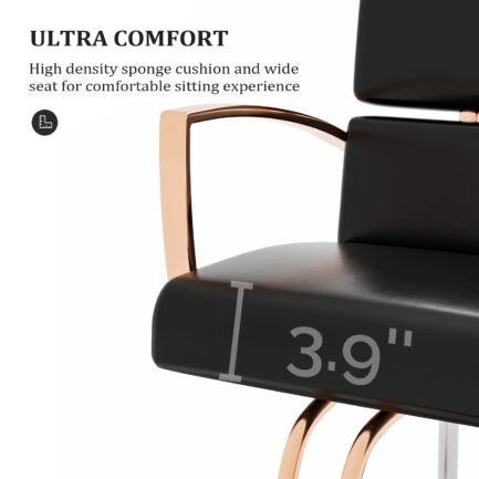 omysalon salon chair heavy duty for stylist, barber chair 360 degree swivel, hydraulic pump for hair cutting, beauty spa styling hairdressing tattoo equipment omysalon salon chair heavy duty for stylist, barber chair 360 degree swivel, hydraulic pump for hair cutting, beauty spa styling hairdressing tattoo equipment