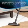 bissell zing bagless canister vacuum, 2156a bissell zing bagless canister vacuum, 2156a