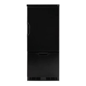 n2175bpl 6.2 cu ft. dc compressor refrigerator
