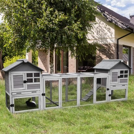 rabbit indoor outdoor guinea grey 2 rabbit indoor outdoor guinea grey 2