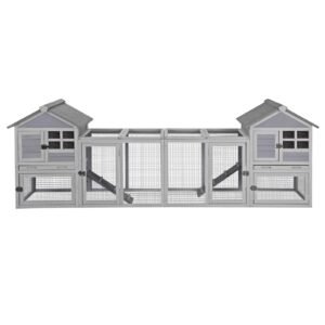 rabbit indoor outdoor guinea grey 2