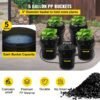 5 gallon 5 bucket dwc hydroponic system for deep water culture 5 gallon 5 bucket dwc hydroponic system for deep water culture