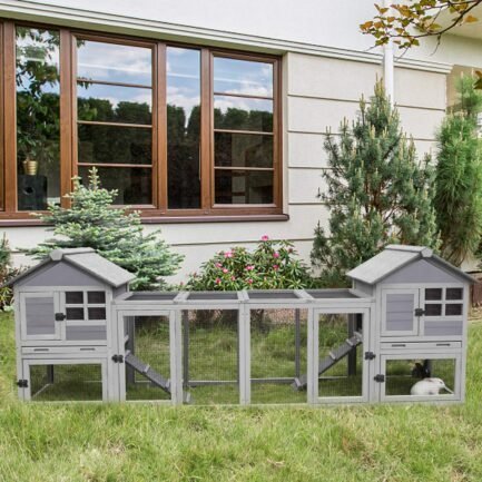 rabbit indoor outdoor guinea grey 2 rabbit indoor outdoor guinea grey 2