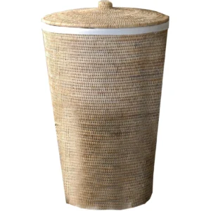 import placeholder for 1960