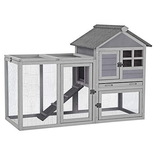 rabbit indoor outdoor guinea grey 2 rabbit indoor outdoor guinea grey 2